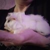 7 week old babies