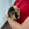 Kevin and Pumpkin has an amazing habitat!!