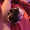 7 week old babies