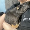 Need a forever home!