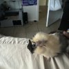 Two One Year Old Girls