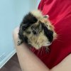 Kevin and Pumpkin has an amazing habitat!!