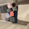 Rehoming 2 Female Guinea Pigs Due to Move