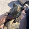 3 girls/ 2 boys need new home