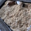 2 male guinea pigs needing a home