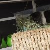 Ori &amp;amp; Yin (Bonded Males)