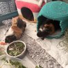 Meet Putter &amp;amp; Seven - Bonded Males