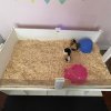 Kevin and Pumpkin has an amazing habitat!!