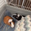 Two sweet bonded girls
