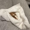 Two male guinea pigs looking for a new home