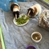 Sweet Bonded Pair with all Supplies