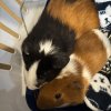 Joey and Ralphie