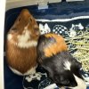 Joey and Ralphie