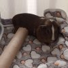 Moving and can&#039;t take with us