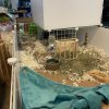Playpen available
