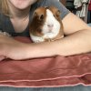 Two Bonded Sisters 2.5 Years Old