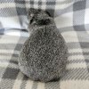 Alby, 2 year old female