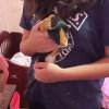 Rehoming Cookie the piggie