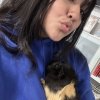2 Male Guinea Pigs