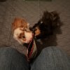 2 young and charismatic female guinea pigs