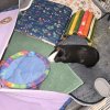 Three male guinea pigs needing a new home