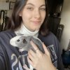 3 Sweet Male Piggies Need a new Home