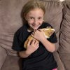 3 female guinea pigs + large loft cage