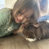 Pair of cute guinea pigs!