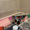 Two girls looking for their forever home
