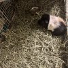 Need a new home