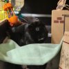 Ori &amp;amp; Yin (Bonded Males)