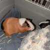Two sweet bonded girls
