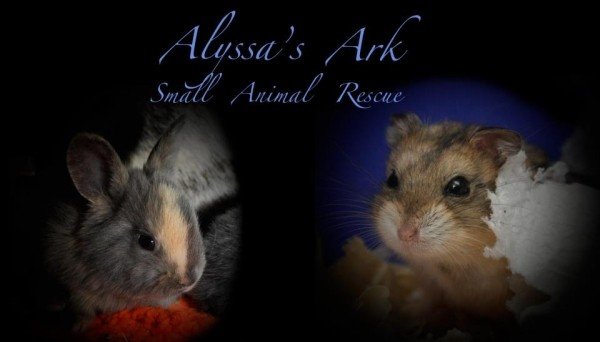 Alyssa's Ark Small Animal Rescue