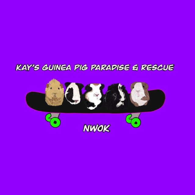Kay's Guinea Pig Paradise &amp; Rescue NWOK