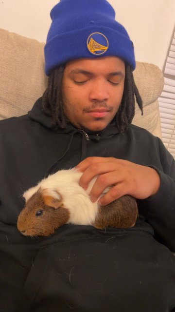 2 older male guinea pigs