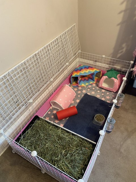 Two girls looking for their forever home
