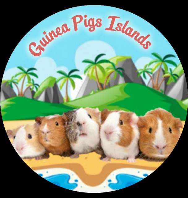 Guinea Pigs Islands