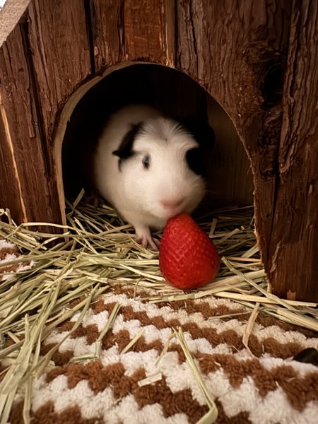 Sweet, and Curious Baby Boy