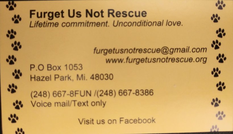 Furget Us Not Rescue