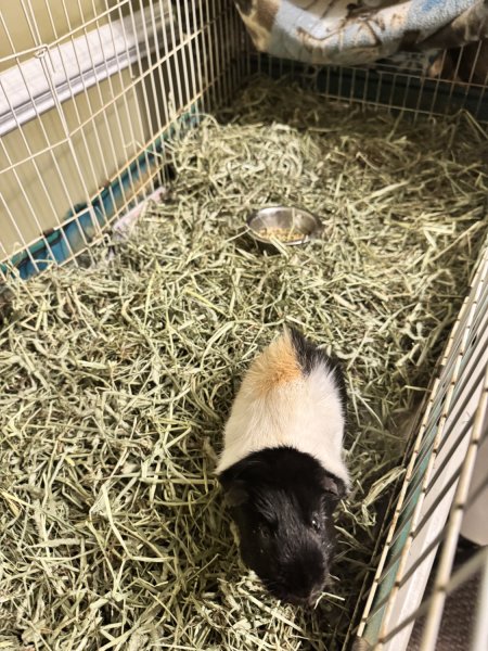 Need a new home