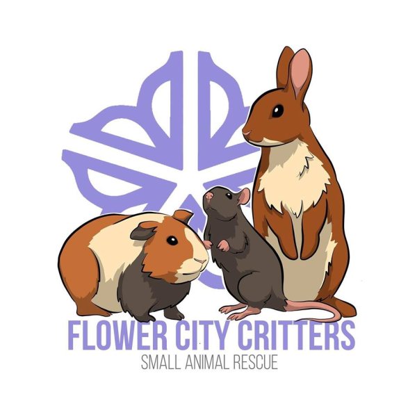 Flower City Critters Small Animal Rescue