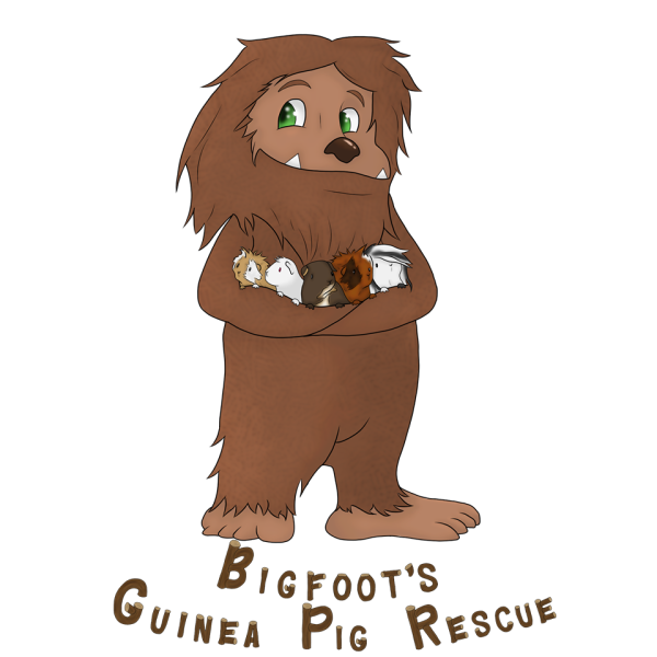 Bigfoots Guinea Pig Rescue