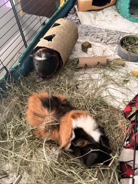 Meet Putter &amp;amp; Seven - Bonded Males