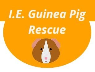 I.E. Guinea Pig Rescue - CLOSED