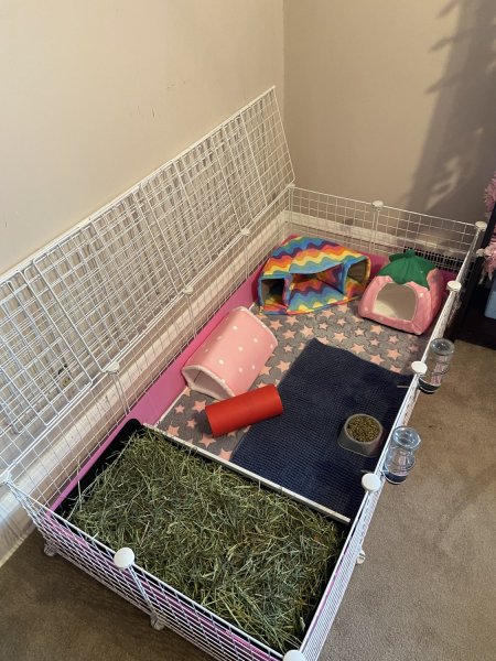 Two girls looking for their forever home