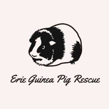 Erie Guinea Pig Rescue