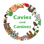 Cavies and Canines Animal Rescue