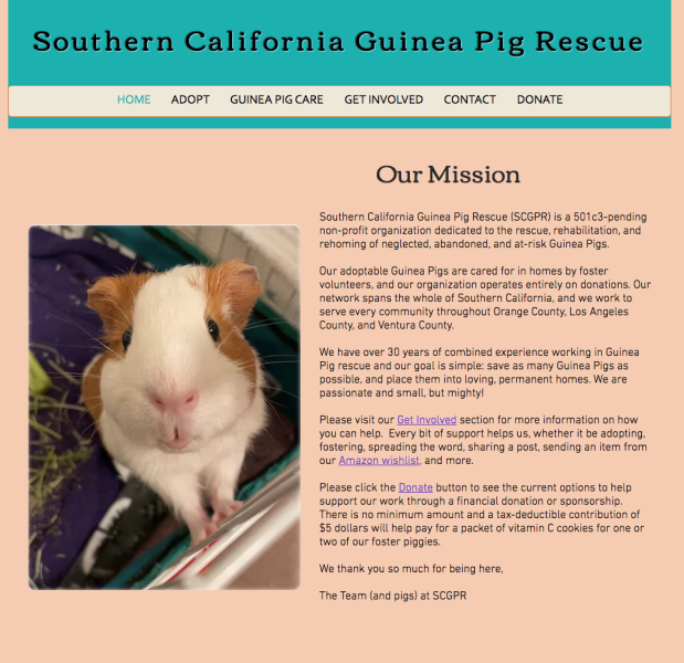 Southern California Guinea Pig Rescue