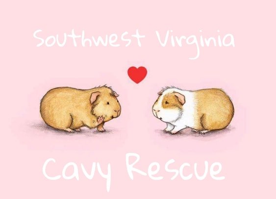 Southwest Virginia Cavy Rescue