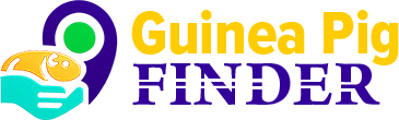 Guinea Pig Finder